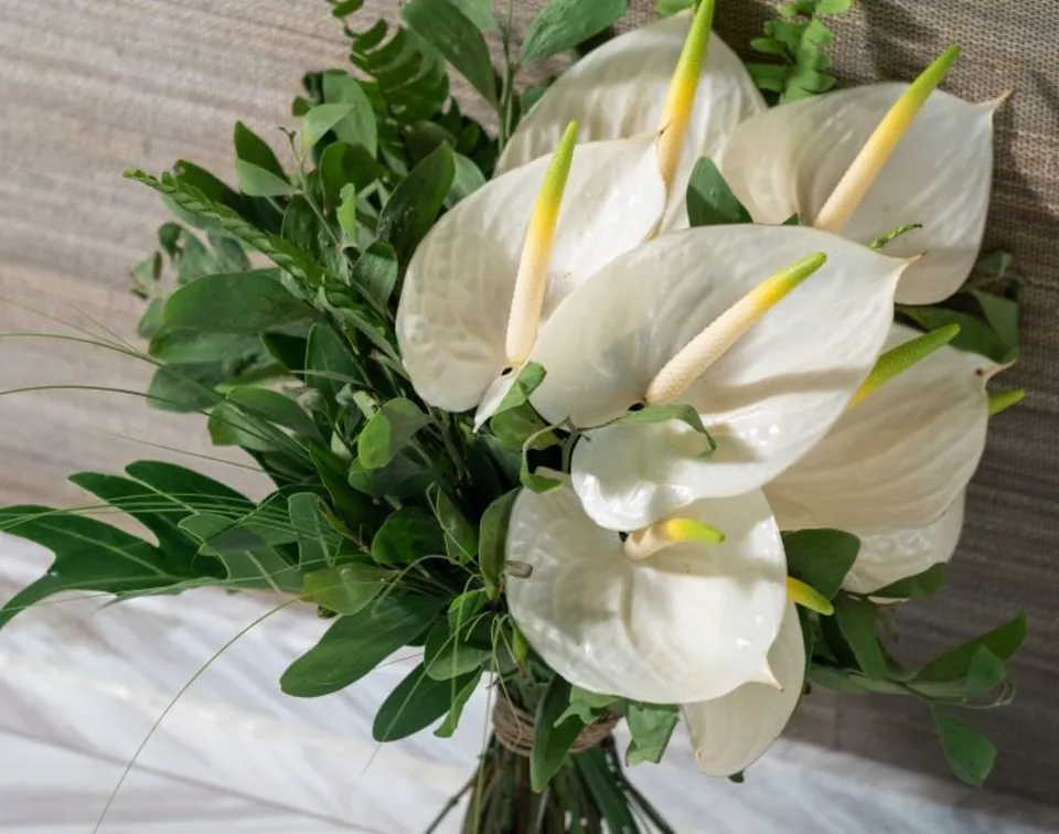 Fresh Flower Bouquet catalogue