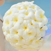 Fresh Flower Bouquet catalogue